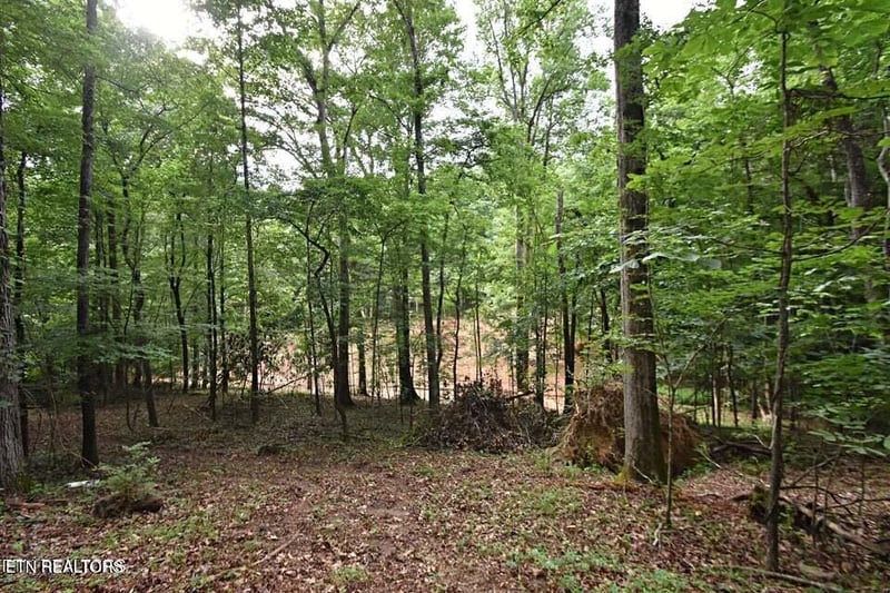 0 Early Rd #3, Knoxville, TN 37922