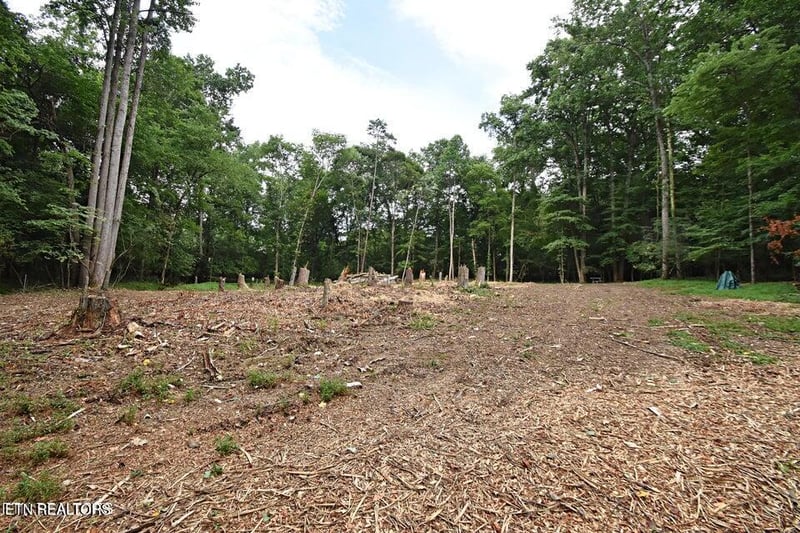 0 Early Rd #4, Knoxville, TN 37922