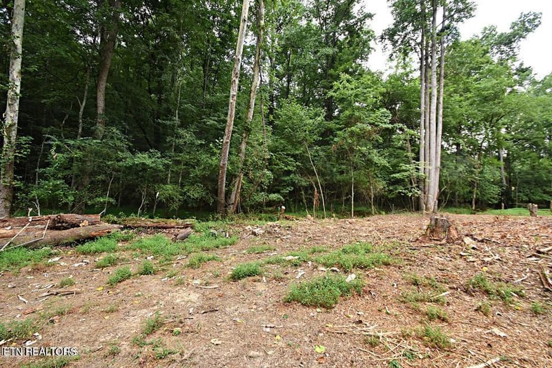 0 Early Rd #4, Knoxville, TN 37922