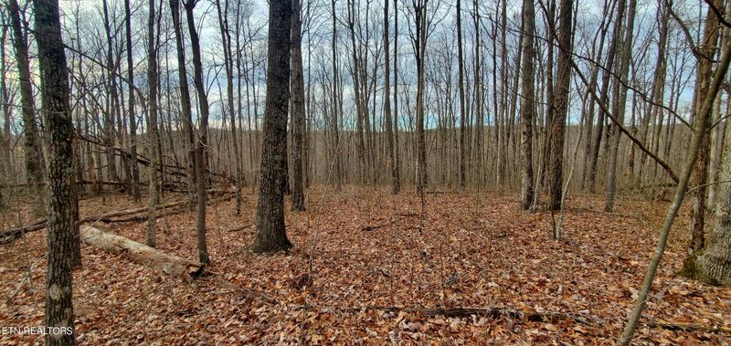 0 East Cove Rd, Monterey, TN 38574