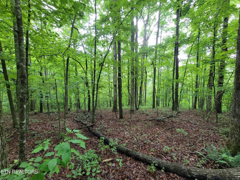 0 East Pl, Monterey, TN 38574