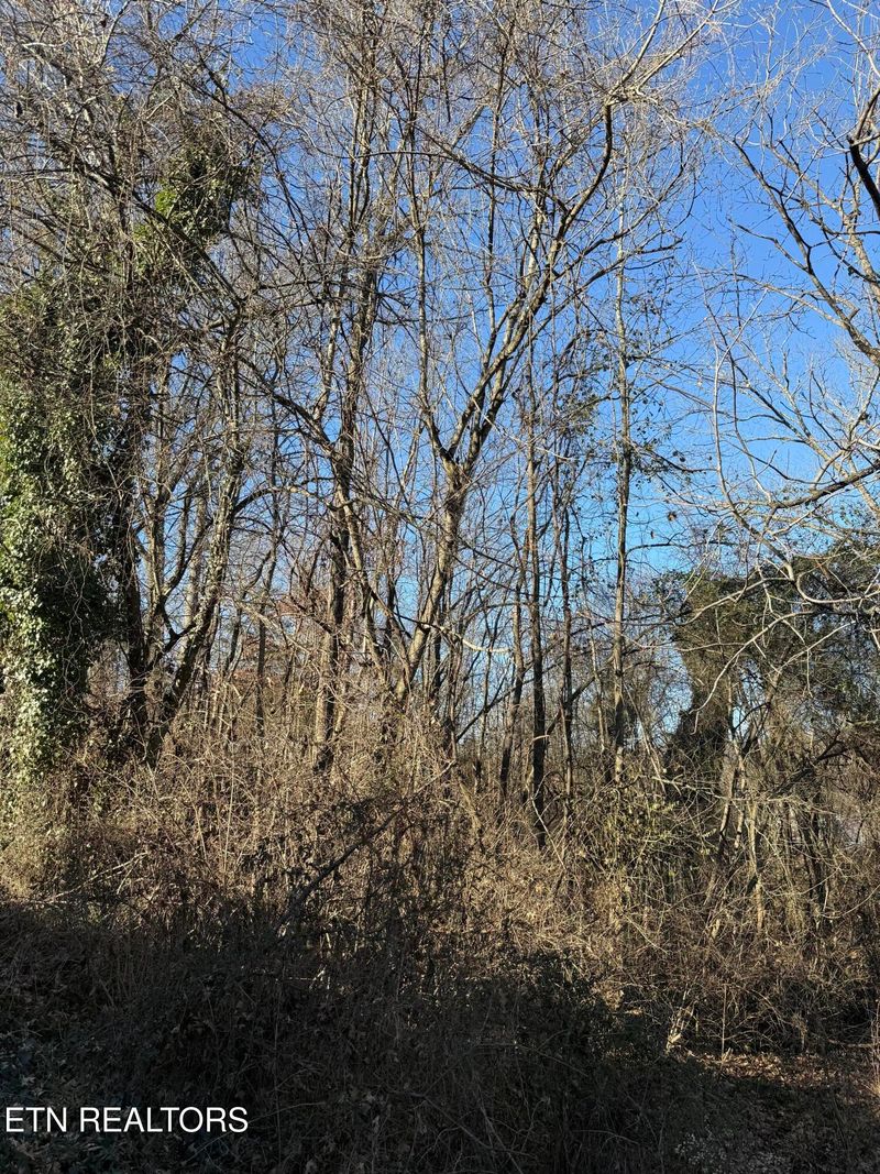 0 Edgar St, Knoxville, TN 37996