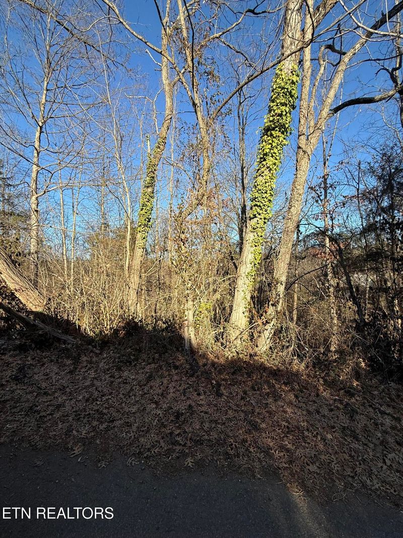 0 Edgar St, Knoxville, TN 37996