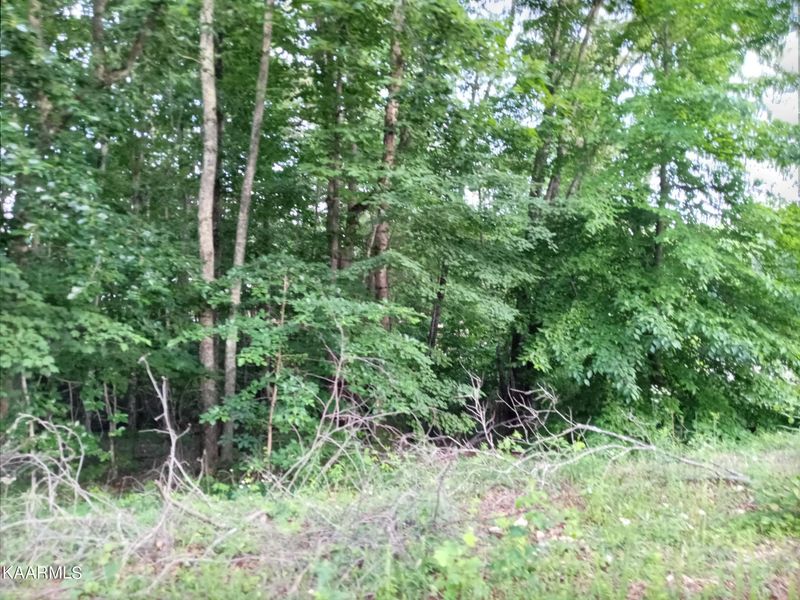 0 Edgewood Dr, Powell, TN 37849