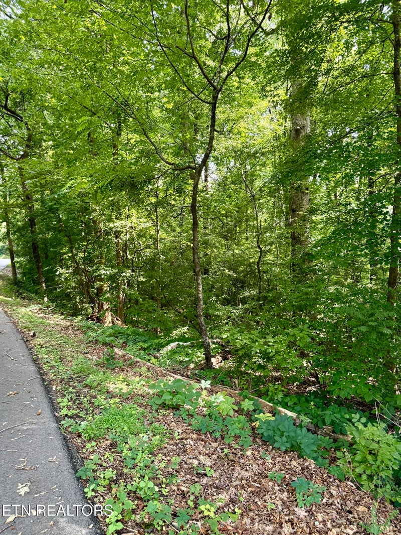 0 Edgewood Dr, Sweetwater, TN 37874