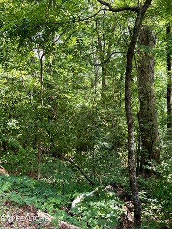 0 Edgewood Dr, Sweetwater, TN 37874