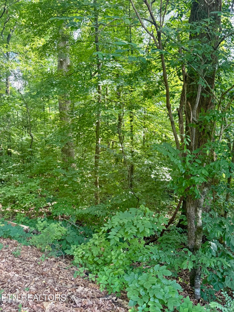 0 Edgewood Dr, Sweetwater, TN 37874