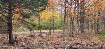 0 Edward Smith Rd, Robbins, TN 37852