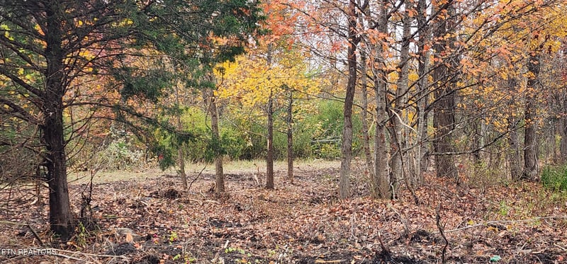 0 Edward Smith Rd, Robbins, TN 37852