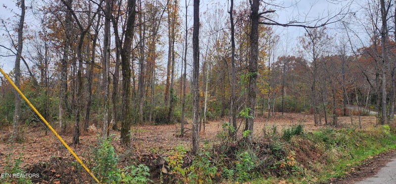 0 Edward Smith Rd, Robbins, TN 37852