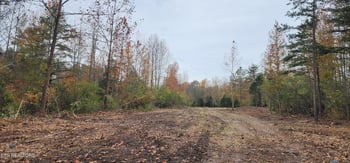 0 Edward Smith Rd, Robbins, TN 37852