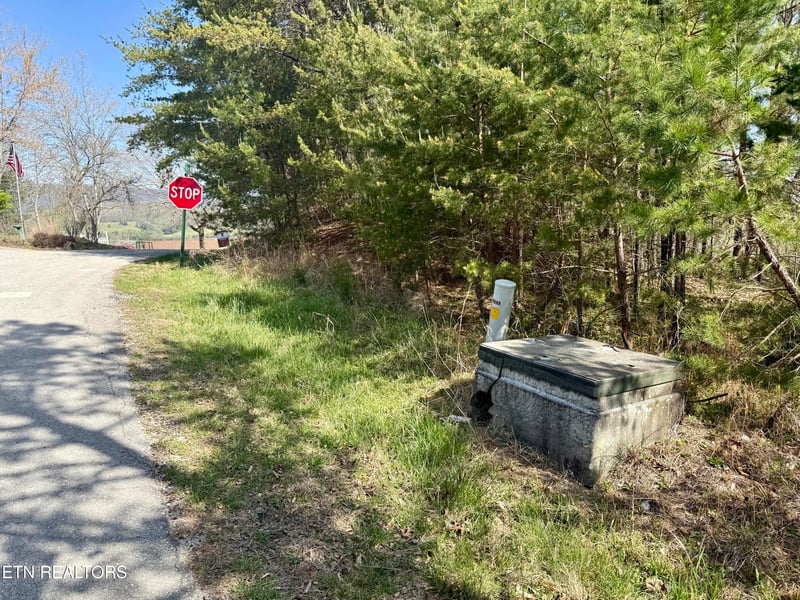 0 Eerie Point #39 & 40, Rockwood, TN 37854