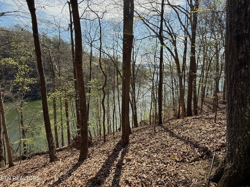 0 Eerie Point #39 & 40, Rockwood, TN 37854