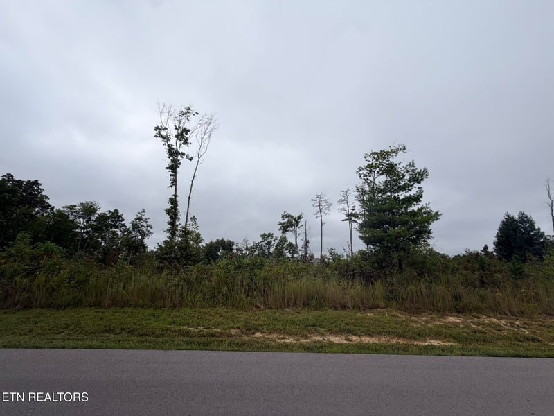 0 Elb Private Dr Lot 17/18, Huntsville, TN 37756