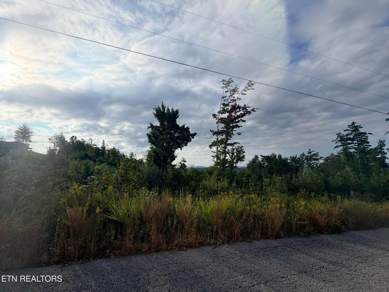 0 Elb Private Dr Lot 2, Huntsville, TN 37756