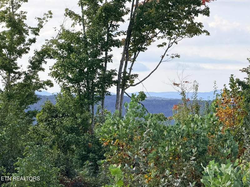 0 Elb Private Dr Lot 2, Huntsville, TN 37756