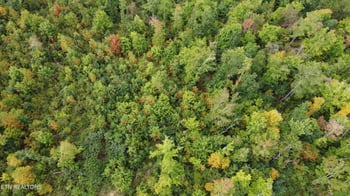 0 Elb Private Dr Lot 2, Huntsville, TN 37756
