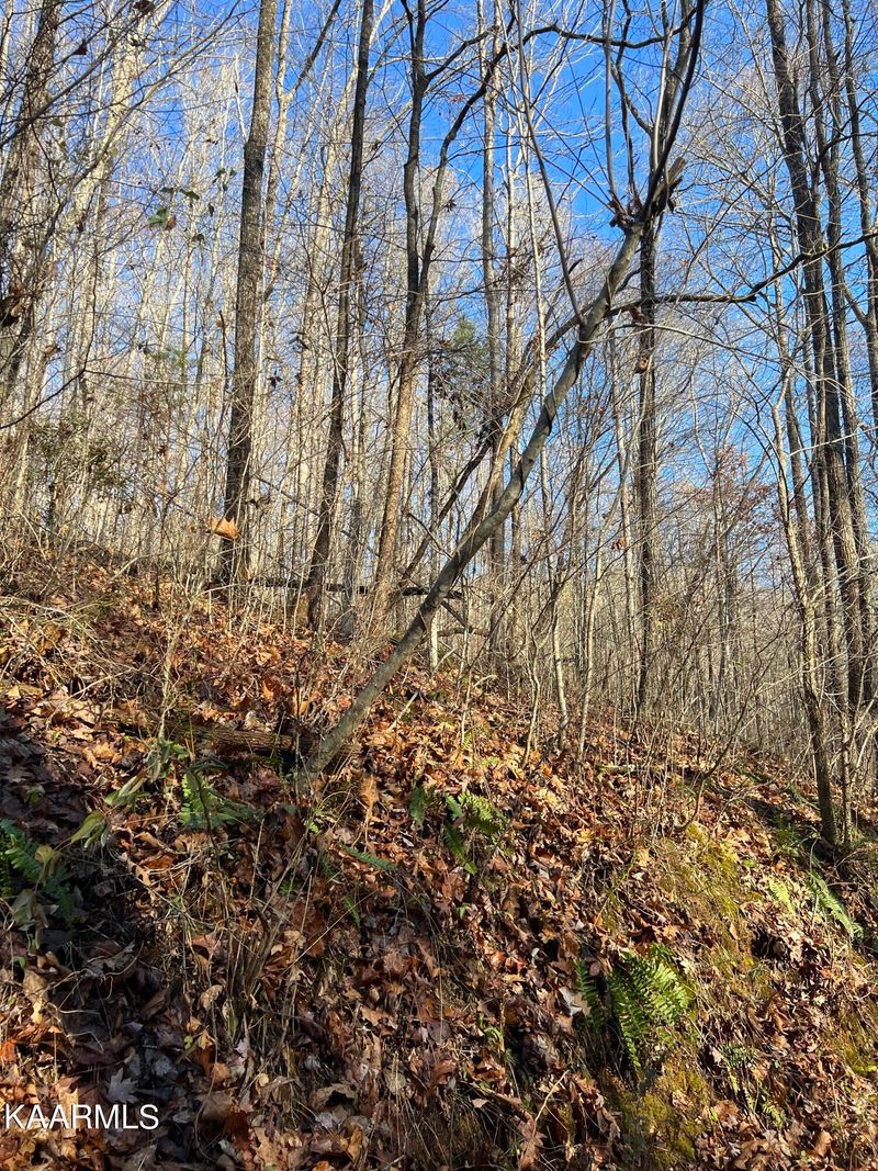0 Elbow Hollow Ln, Lafollette, TN 37766