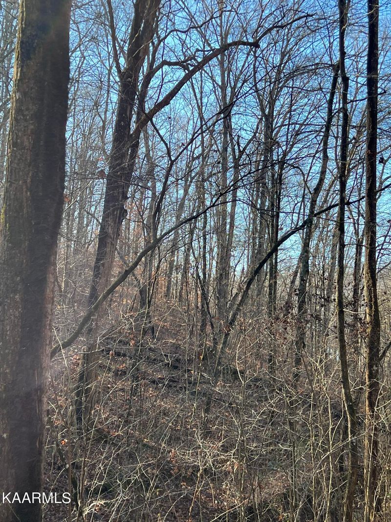 0 Elbow Hollow Ln, Lafollette, TN 37766