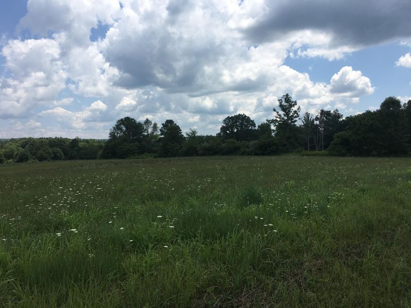 0 Eldridge Loop, Crossville, TN 38555