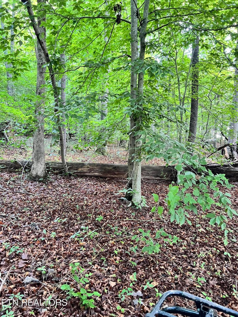 0 Eli Ln, Oneida, TN 37841