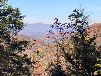 0 Elkins Valley Rd, Heiskell, TN 37754