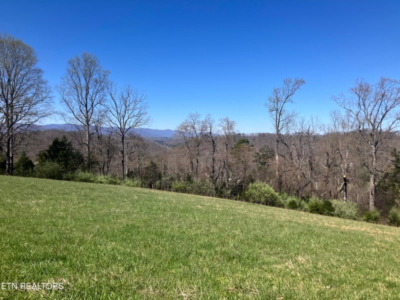 0 Elkins Valley Rd, Heiskell, TN 37754