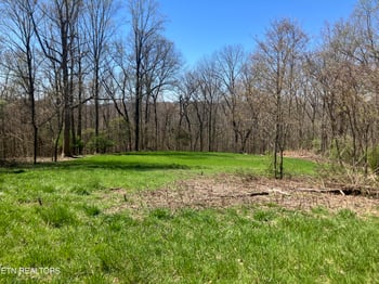 0 Elkins Valley Rd, Heiskell, TN 37754