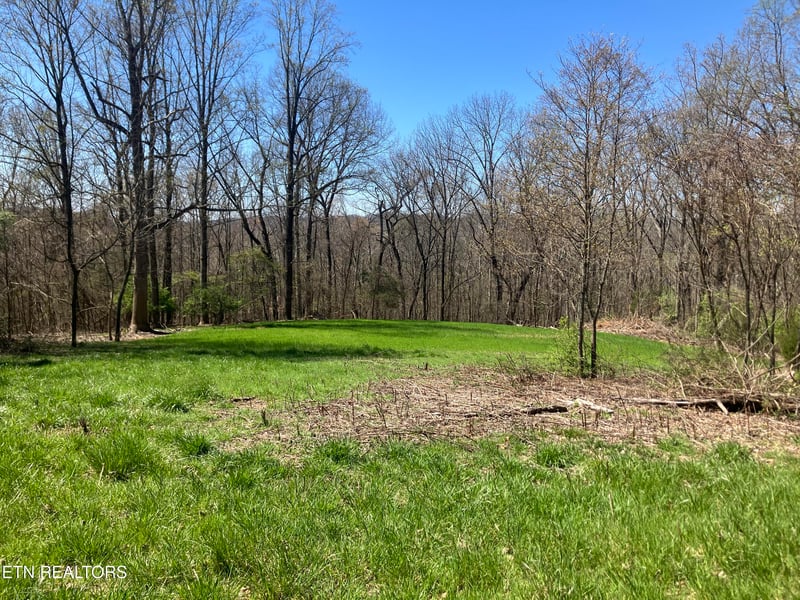 0 Elkins Valley Rd, Heiskell, TN 37754