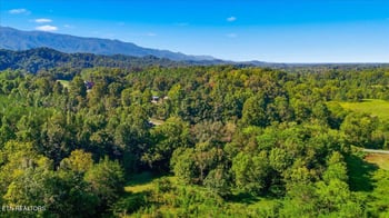 0 Ellejoy Rd, Seymour, TN 37865