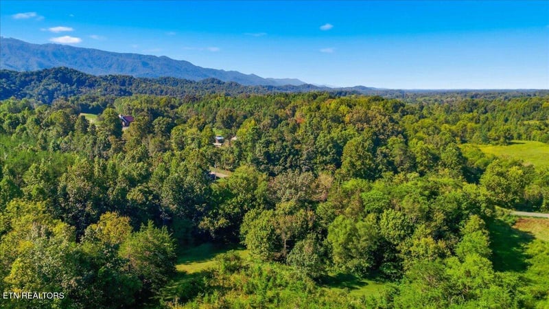 0 Ellejoy Rd, Seymour, TN 37865