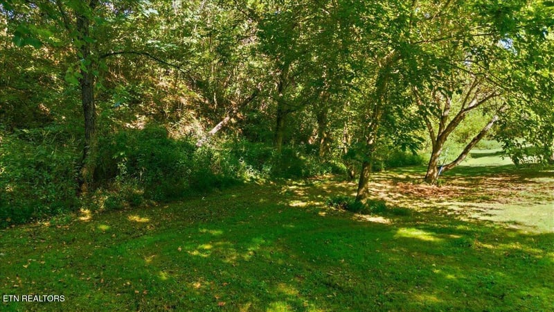 0 Ellejoy Rd, Seymour, TN 37865