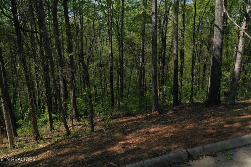 0 Elm Lane Lot 16, Sweetwater, TN 37826