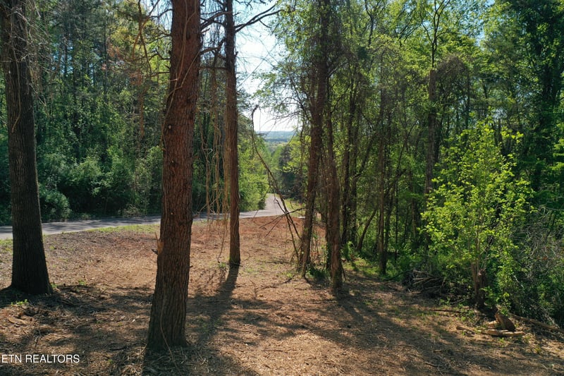 0 Elm Lane Lot 16, Sweetwater, TN 37826