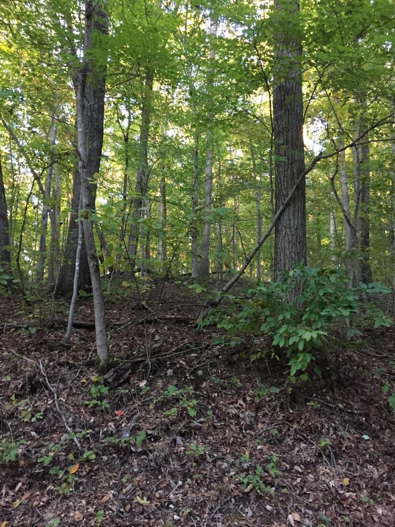0 Elm Ridge Rd, Washburn, TN 37888