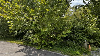 0 Emerald Pointe Blvd, Sevierville, TN 37876