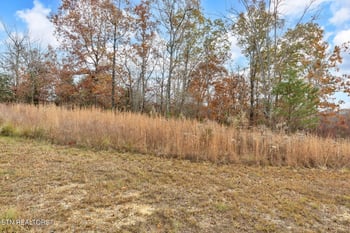 0 Emerald Pointe Cir, Rockwood, TN 37854