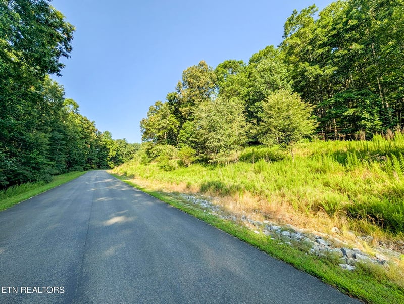 0 Emerald Pointe Lot 7, Rockwood, TN 37854