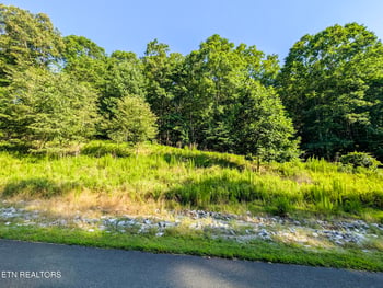0 Emerald Pointe Lot 7, Rockwood, TN 37854