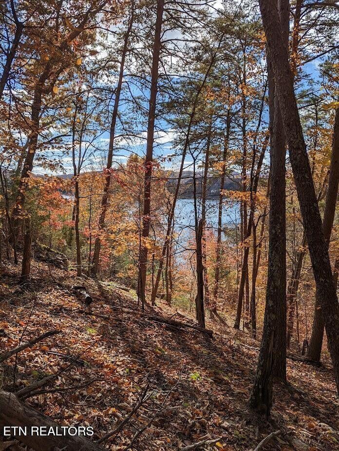 0 Emerald Pt, Sharps Chapel, TN 37866