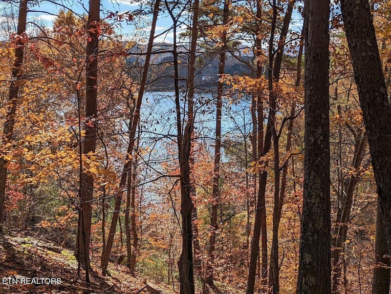 0 Emerald Pt, Sharps Chapel, TN 37866