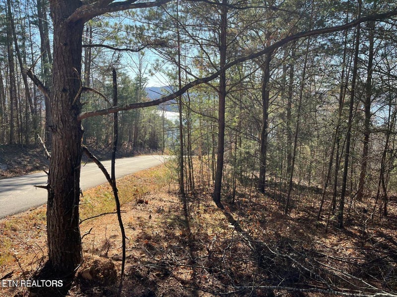 0 Emerald Pt, Sharps Chapel, TN 37866