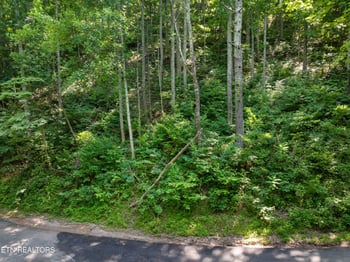 0 Emerald Springs Loop, Sevierville, TN 37862