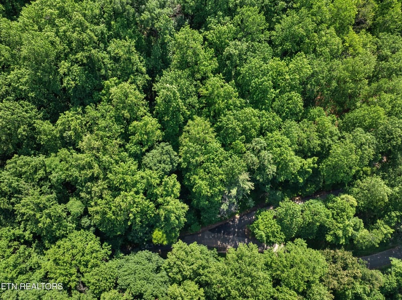 0 Emerald Springs Loop, Sevierville, TN 37862