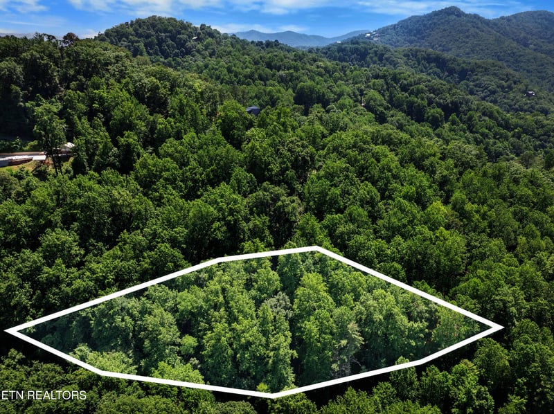 0 Emerald Springs Loop, Sevierville, TN 37862