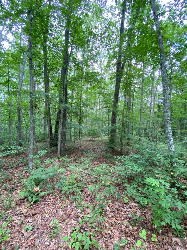0 Emory View Rd, Lancing, TN 37770