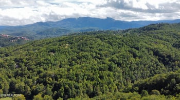 0 Enclave Park Way, Sevierville, TN 37862