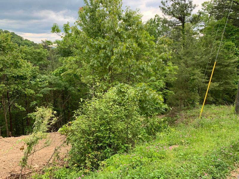 0 Engle Town Rd, Sevierville, TN 37862
