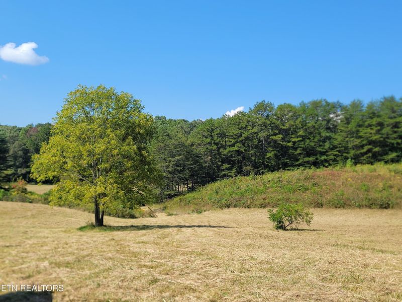 0 Epperson Rd, Tellico Plains, TN 37385