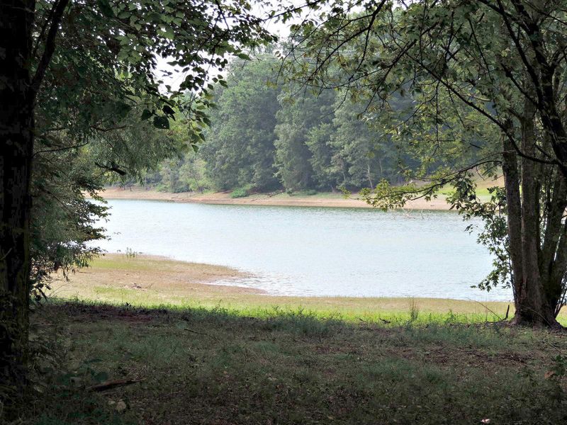0 Ernie Roberts Rd, Rutledge, TN 37861